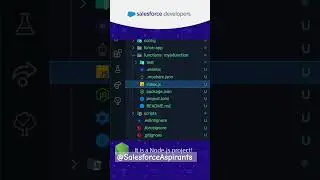 Salesforce Functions - Create a Salesforce Function in JavaScript&nbsp;#Shorts #apex #javascript #viral