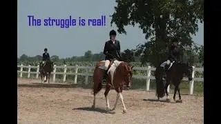 Can you have different riding disciplines at the same boarding stable?