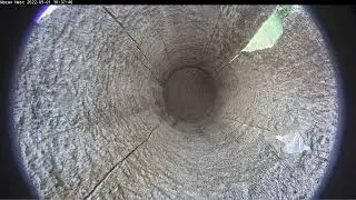 Miami Macaw Cam Live Stream