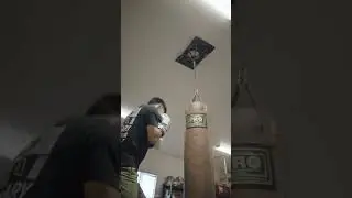 First Law Fitness Spider Mount