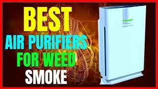 Best Air Purifiers for Weed Smoke 2024