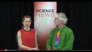 Collaborative Strategies for Improving Adherence to Dietary Guidelines