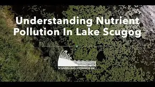 Understanding Nutrient Pollution In Lake Scugog