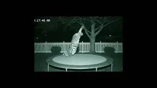Caught on CCTV: Giant Tiger Fails Hard on Backyard Trampoline 🐅💥#tigerfail #nightvision #CCTVfootage