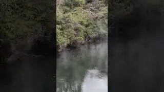 Geothermal hot spring 😶&zwj;🌫️ #travel #nature #volcanic #amazing #steam #naturalwonders #newzealand #4k