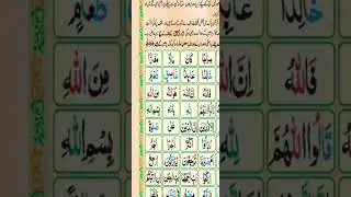 تفخیم اور تر قیق کے بنیادی قواعد 