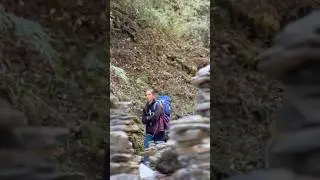 Poon Hill Trek Day 3: Ghorepani to Tadapani #nepaladventure #trekkingnepal #annapurnatrek #solotrek