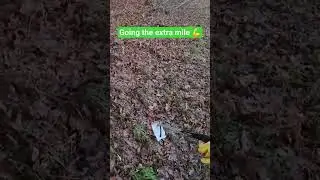 even jumping towards the trash to clean the streets 💪 #cleanwalks #pov #action