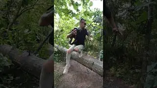 Поймали мОментсы #capture #shot #shorts #frame