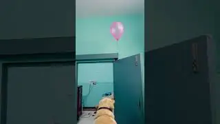 Labrador dog playing with balloon🎈🎈 #dog #labrador #adorabledog #funny