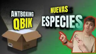 Unboxing del Qbik 🐜 | &iexcl;Pheidole y Tapinoma Nuevas Colonias! 📦