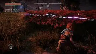 Horizon Zero Dawn - Lessons of the Wild: Sneak To The Wounded Boy: Use Focus To See Watcher's Paths