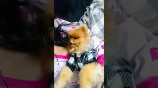 #воспоминания #пятница #воспоминанияпятницы 💜