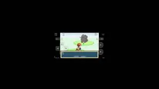 Pokemon Animon Walkthrough part 1 Fake gym leader
