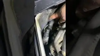 G37 Coolant bypass hose replacement