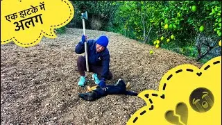 💔 मेहनत बर्बाद कर गए जंगली जानवर 😭 | Village Life Vlog | Hello Thakur Vlogs