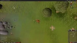 OSRS Hunter Guide: Grey Chinchompas