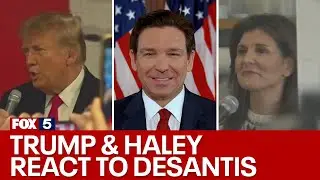Which GOP candidate will take over DeSantis' votes: Haley or Trump? | FOX 5 News