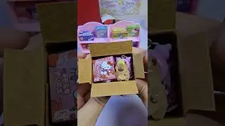 hello kitty cookie vs capybara kuromi asrm packing #satisfying #sanrio #shorts #funny #diy #asmr