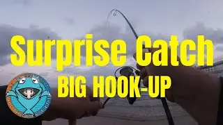 Beach Lure Fishing with a surprise catch - LRF UK - 