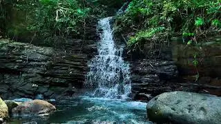 Waterfall Sounds for Insomnia: Deep Rest & Instant Sleep Relief