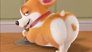 Moco Corgi: Butt Shake