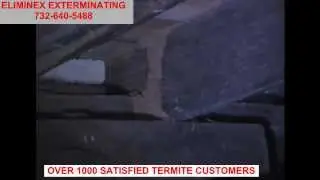 Termite Control Highland Park Iselin Jamesburg NJ 732-640-5488 | Termite Exterminating New Jersey