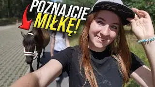Poznajcie JEDYNEGO kuca w stajni!
