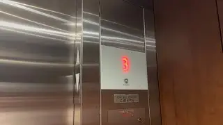 Schindler 5500 Elevators at Olive Garden/Brewdog- Las Vegas, NV, USA