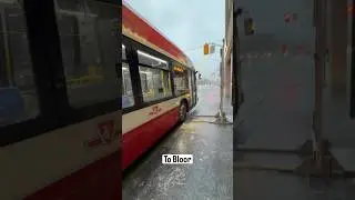 Riding TTC Bus 13 down Avenue Road to Bloor, the pulse of downtown