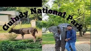 Guindy National Park Chennai In Hindi 2025ll 🦌🦌🦌गेन्दि नेशनाल पर्क हिंदी मे 2025l