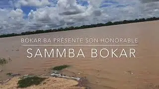Exceptionnel Hoddu Mamadou Sammba Yero BA