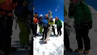 Penguin's Epic Adventure on a Mountain!
