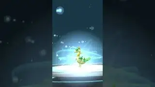 【ポケモンGO】ポケモン進化　ジャノビー&rarr;ジャローダ　[Pokemon GO] Pokemon Evolution Janoby &rarr; Jaroda