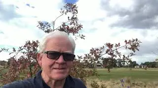 Pegasus private golf course!