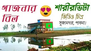গাজনার বিল || শারীরভিটা || Gajnar Bil || Sharirvita || সুজানগর, পাবনা || Sujanogor, Pabna