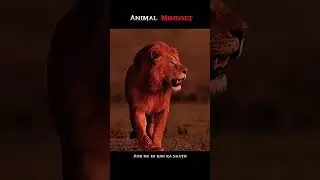 ANIMAL MIND 🔥😎~Biggest  Rule Of Success 🤔🎯~rules for success in life🔥#motivation #shorts #sigmamale‪