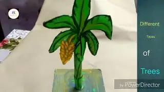TLM ideas, Different types of trees// plants around us