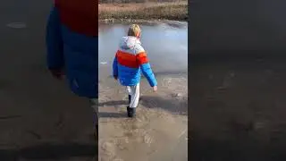 Icy puddle