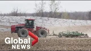 What rising fertilizer costs may mean for Canadian farmers