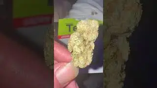 TERPY TIME TASTE W - TEDS BUDZxUP THE HILL- UNLIMITED TERPS ​⁠ #tedsbudz @tedsbudz #new #2024