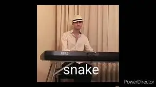 snakepiano