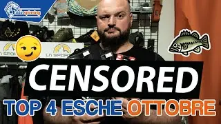 TOP 4 ESCHE per pescare il BLACK BASS a OTTOBRE