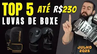 Top 5 LUVAS de BOXE e MUAY THAI - Julho de 2025