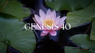 Genesis 40 - A Meditative Bible Experience