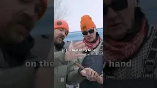 Как открыть устрицу