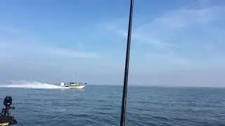 Yarcraft 219TFX 350 verado
