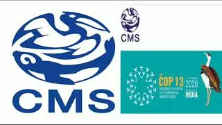 CMS : COP 13 IN HINDI || Bonn Convention || CONVENTION ON MIGRATORY SPECIES OF WILD ANIMAL IN HINDI