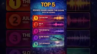 Top 5 Mysterious Ocean Sounds With No Source 🌊😱 | #Shorts