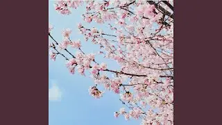 Sleepless Loop